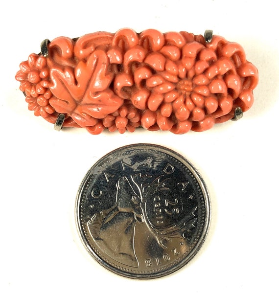 Celluloid Chrysanthemums Brooch Coral Colors Open… - image 3