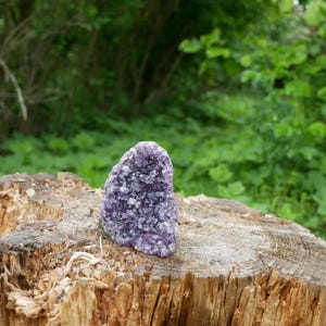 Könnte beinhalten: Ein Cluster aus violetten Amethystkristallen liegt auf einem verwitterten, braunen Baumstumpf. Der Amethyst hat eine glitzernde, kristalline Oberfläche. Der Hintergrund zeigt üppiges grünes Laub.