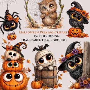 May include: A collection of Halloween-themed digital illustrations featuring a spider with a pumpkin bucket, an owl in a web, an owl in a witch hat on a pumpkin, stacked pumpkins, a mummy in a barrel, and an owl peeking from a tree.