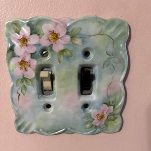 Rosas silvestres rosadas pintadas a mano sobre una cubierta de placa de interruptor doble