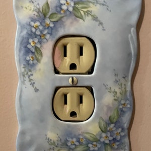 Forget-me-not flowers handpainted on a receptical cover/plug outlet cover