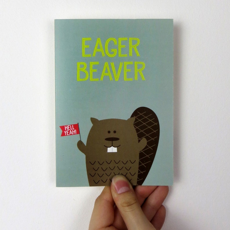 wink design cute animal note card /'Eager Beaver/' wink designs cute cards uk hell yeah Funny Beaver Card birthday card