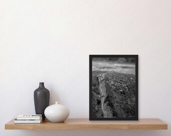 Dettagli di rocce, fotografie stampabili, stampa naturalistica, decorazione in bianco e nero, arte neutra per il soggiorno
