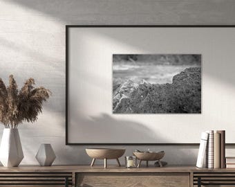 Dettagli di rocce, fotografie stampabili, stampa naturalistica, decorazione in bianco e nero, arte neutra per il soggiorno