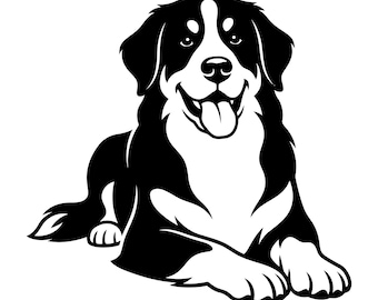 Cane da montagna bernese con zampe incrociate sdraiate SVG, Cane da montagna bernese SVG, Cane da montagna svizzero maggiore che sbircia, Download immediato, Uso commerciale