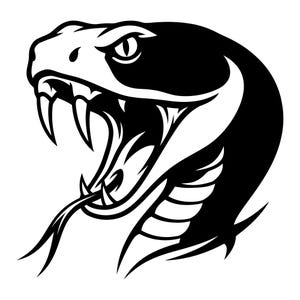 May include: A black and white illustration of a snake's head with its mouth open, revealing sharp fangs and a forked tongue. The snake's eye is focused, and the design is a bold, graphic representation.