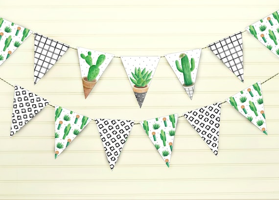 kentiapalme kaufen Kentia Palme 180 cm kaufen  Groe tropische Zimmerpflanze  PlantmyHome