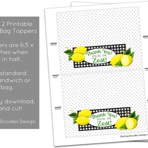 Lemon Party Favors - Lemonade Birthday - Lemon Bridal or Baby Shower ...