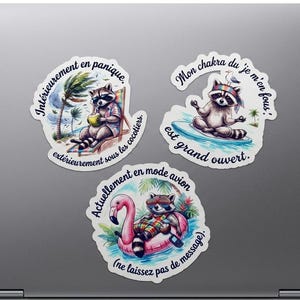 Sarcastische wasbeersticker | Waterdichte sticker | Humoristische decoratie voor pc en waterfles | Madras Touch | De avonturen van meneer Tchip de wasbeer