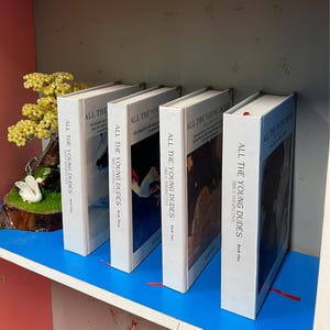 May include: Four white hardcover books titled "ALL THE YOUNG DUDES" with "SIRIUS PERSPECTIVE" on the spine. The books are arranged on a blue shelf. Book covers feature abstract art. A decorative display with a swan and yellow beads is in the background.