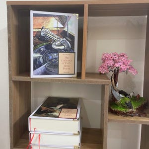 May include: A wooden bookshelf displays several books with the title "The Cadence of Part Time Poets." The top book features a vintage record player illustration. A small, pink beaded tree sculpture sits on the shelf, adding a decorative touch.