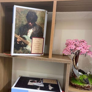 May include: A hardcover book titled "The Cadence of Part Time Poets" with a painting of a person playing a guitar on the cover. The book is displayed on a wooden shelf, next to a decorative beaded tree.