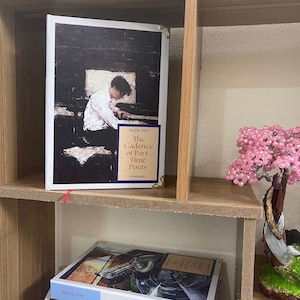 May include: A hardcover book titled "The Cadence of Part Time Poets" with a painting of a person at a piano. The book is on a wooden shelf with another book visible below. A small pink beaded tree is on the shelf.