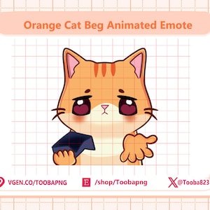Puede incluir: Un emote digital animado que muestra un gato atigrado naranja con ojos grandes y tristes, sosteniendo una billetera azul oscuro vacía en una pata y extendiendo la otra en un gesto de súplica. El texto Orange Cat Beg Animated Emote está arriba.