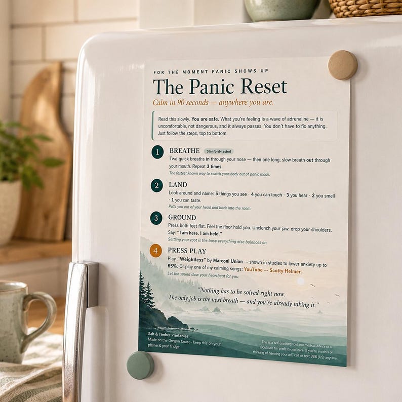 May include: A rectangular informational print titled The Panic Reset, featuring a four-step guide for anxiety management. The design includes text instructions, numbered steps, and a landscape illustration of a misty forest and ocean.