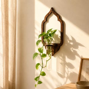 Peut inclure: Une station de bouturage murale en bois foncé avec un cadre arqué et un tube à essai en verre cylindrique. Une plante verte retombante aux feuilles en forme de cœur est enracinée dans le tube en verre, descendant depuis l'étagère en bois.