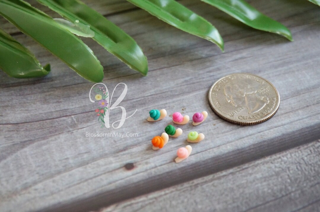 MICRO Snails for Terrarium Decoration Snails for Doll House Etsy