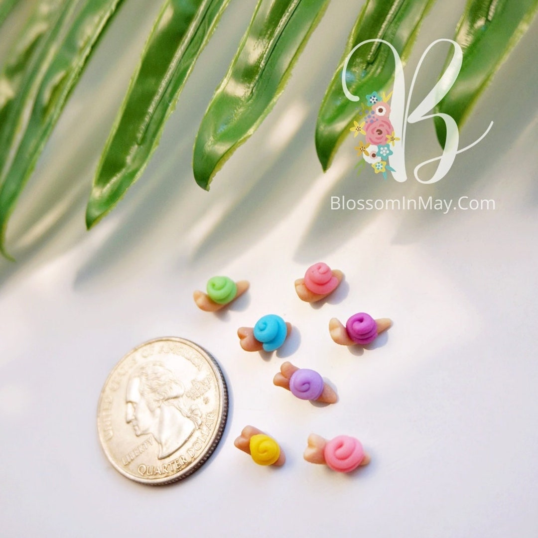 Set of 4 Micro Snails for Terrarium Tiny World Project Teeny Etsy