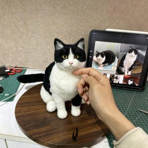 Op de afbeelding: Een naaldgevilte kattenfiguur met een zwart-witte vacht, puntige oren en amberkleurige ogen. De kat is afgebeeld in een zittende positie met de staart naar achteren gestrekt, met een realistische textuur en gedetailleerde gelaatstrekken.