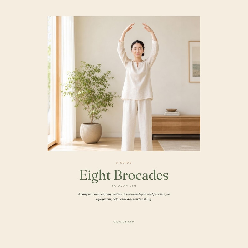 Qigong Exercises Chart & Guide PDF, Ba Duan Jin Eight Brocades, Morning Routine + Guided Audio, Printable image 3