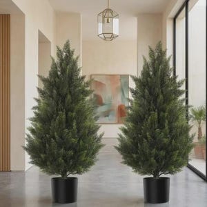 May include: Two artificial evergreen trees in black pots. The trees have a full, natural appearance with green foliage. The trees are placed indoors, creating a decorative and natural aesthetic. The trees are approximately 5 feet tall.