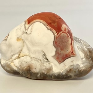 Red and white tumbled Kentucky agate from Estill County