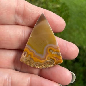 Kentucky agate preform cabochon