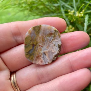 Kentucky agate preform cabochon