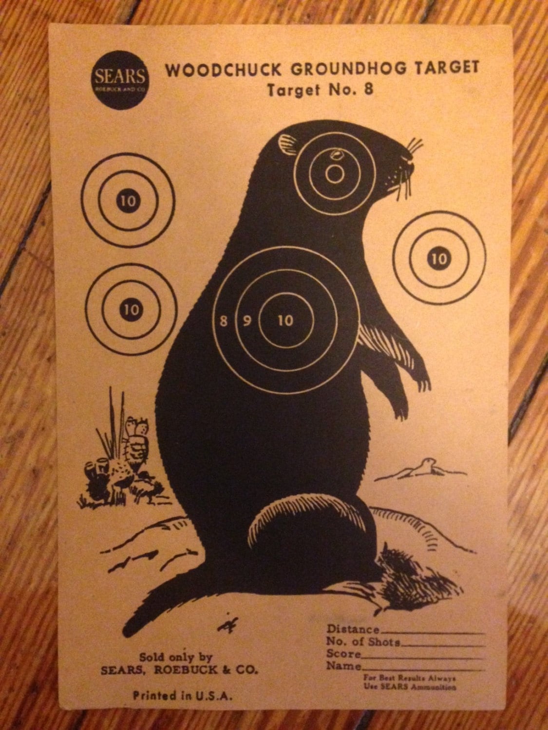 woodchuck target paper, vintage gun target, groundhog hunting