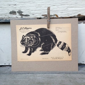 Vintage Raccoon Hunting Sign Cabin Decor, Paper Target by JC Higgins
