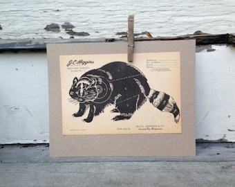 Vintage Raccoon Hunting Sign Cabin Decor, Paper Target by JC Higgins
