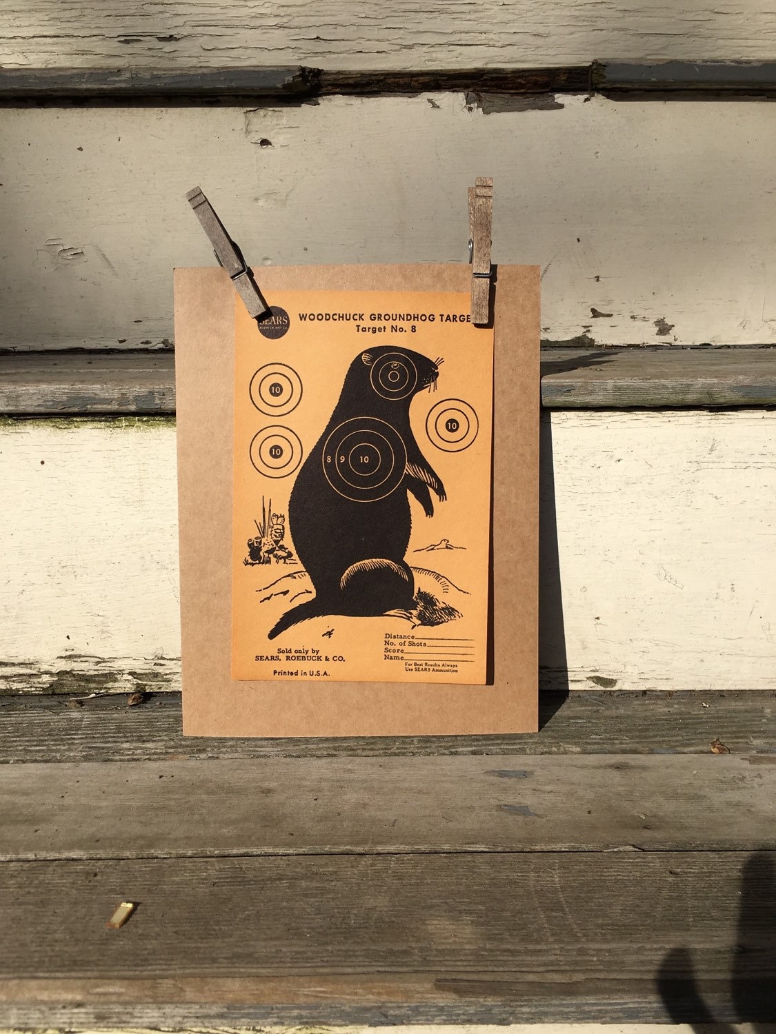 Woodchuck Target Paper, Vintage Gun Target, Groundhog Hunting Decor - Etsy