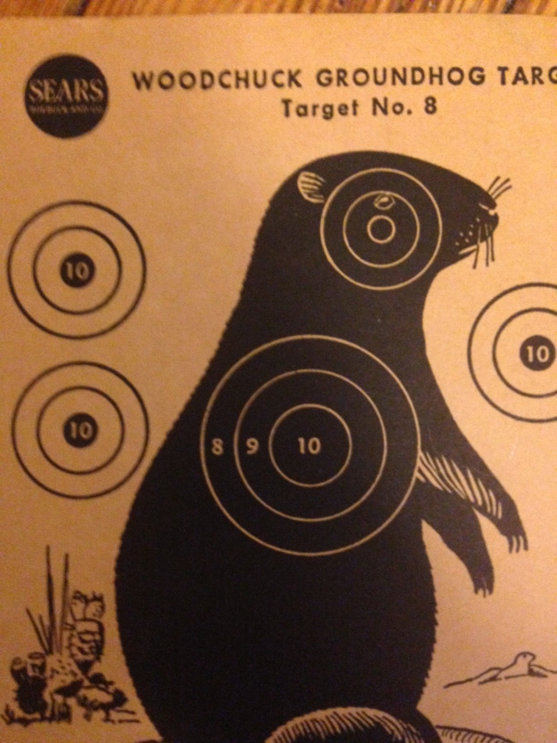 Woodchuck Target Paper, Vintage Gun Target, Groundhog Hunting Decor - Etsy