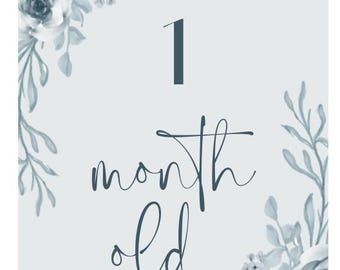 Baby First Milestones - Blue - Flowers - Baby Boy or Girl