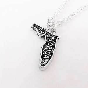 Tiny Florida ketting home state ketting, Florida charme, home state sieraden gepersonaliseerd cadeau voor haar Florida schets kaart charme bff cadeau