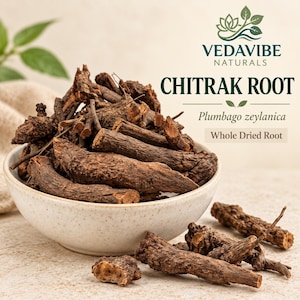 Peut inclure: Un bol blanc moucheté rempli de racines de Chitrak brun foncé et ligneuses, également appelées Plumbago zeylanica. Le texte Vedavibe Naturals, Chitrak Root, Plumbago zeylanica et Whole Dried Root est visible. Plusieurs racines séchées sont posées.