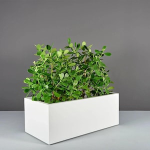 Jay scotts torino wide rectangle fiberglass planter modern minimalist