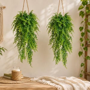 May include: Two artificial hanging fern plants with vibrant green foliage, each suspended by a natural jute rope. The lush, trailing leaves create a dense, cascading effect, showcasing realistic textures and multiple shades of green throughout.