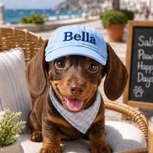 May include: A brown and black dachshund puppy wearing a light blue baseball cap with the name Bella embroidered in dark blue thread and a matching light blue and white gingham patterned bandana around its neck, sitting upright and looking forward.