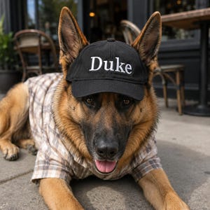 May include: A German Shepherd dog wearing a black baseball cap with the word Duke embroidered in white lettering on the front. The dog is also wearing a light brown and white plaid button-down shirt with short sleeves, visible on its torso.