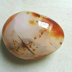 Può includere: Una pietra liscia e levigata di forma ovale, caratterizzata da una base traslucida color bianco sporco con vivaci inclusioni arancioni e bruno-rossastre e venature naturali distribuite sulla sua superficie arrotondata e lucida.