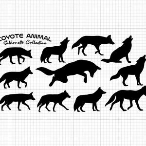 May include: A collection of black coyote silhouettes in various poses, including running, standing, and howling. The text "COYOTE ANIMAL Silhouette Collection" is at the top. The background is a white grid.