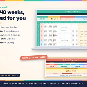 May include: A digital pregnancy tracker spreadsheet displayed on a laptop screen and a mobile device. The interface features columns for dates, fruit size comparisons, milestones, mood, symptoms, cravings, bump photo tracking, and weight logs.