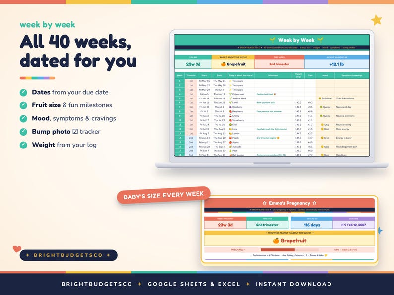 May include: A digital pregnancy tracker spreadsheet displayed on a laptop screen and a mobile device. The interface features columns for dates, fruit size comparisons, milestones, mood, symptoms, cravings, bump photo tracking, and weight logs.