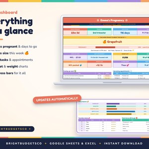 May include: A digital pregnancy dashboard displayed on a laptop and a mobile device screen. The interface features colorful sections for tracking weeks, baby size, budget, and appointments, with text including 'Emma's Pregnancy' and 'Everything at a glance'.