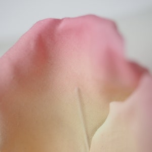 May include: Close-up of a soft, pink and yellow rose petal.