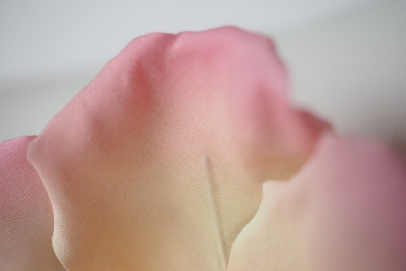 May include: Close-up of a soft, pink and yellow rose petal.