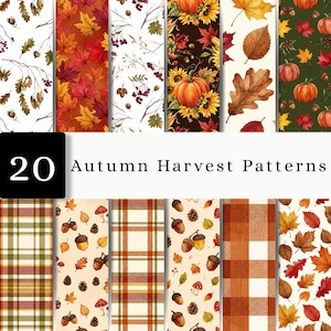 Peut inclure: Une collection de 20 motifs Autumn Harvest présentant des illustrations numériques de citrouilles, tournesols, feuilles d'érable, glands, pommes de pin, champignons et motifs écossais dans des tons saisonniers chauds orange, brun, rouge, jaune et vert foncé.