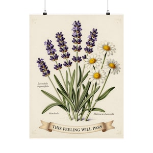 May include: A botanical print on a cream background featuring purple lavender stalks and white chamomile flowers with yellow centers. The text Lavandula angustifolia, Mandaula, and Matricaria chamomilla appear near the stems, with a banner reading THIS FEELING WILL PASS.