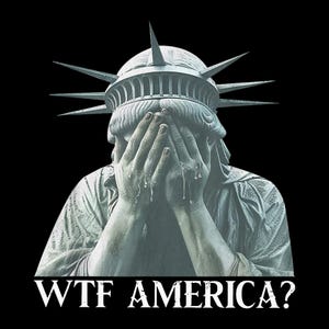 Wtf america png, political satire statue of liberty design, funny usa digital download, protest sublimation clipart, thought-provoking